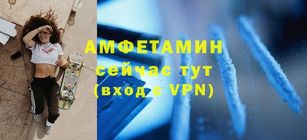 прущие грибы Елизово