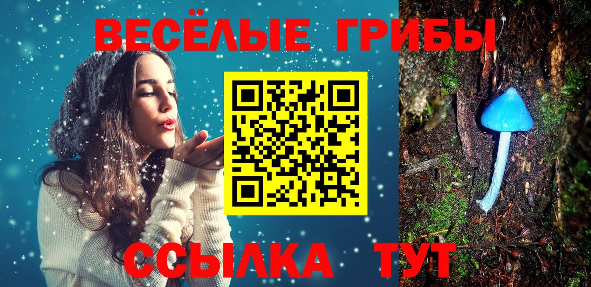 Галлюциногенные грибы мицелий Азов