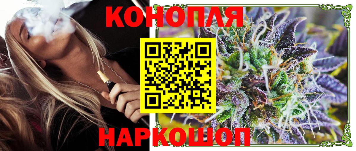 Бошки Шишки планчик Азов